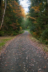Beautiful view of idyllic landscape with scenic hiking trail in the Alps with fresh green mountain pastures and snow-capped mountain tops in the background in summer, Berchtesgadener Land, Bavaria