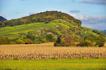 Baden-Württemberg - Breisgau