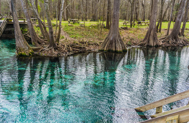 Beautifully amazing clear water of Florida Ginnie Springs