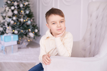 Beautiful portrait. Little boy. Christmas interior. Horizontally