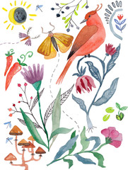 Obraz na płótnie Canvas Botanical illustration, watercolor set of flowers and plants, bird