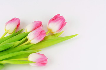 a bouquet of beautiful pink tulips on a white background.top view. . Holiday concept