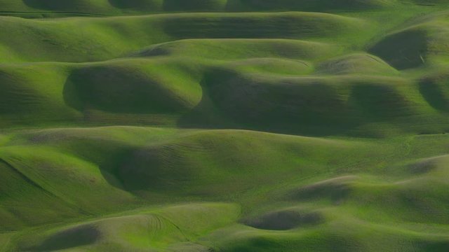 Aerial view of rolling green hills in northern California