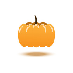 single pumpkin vector flat icon