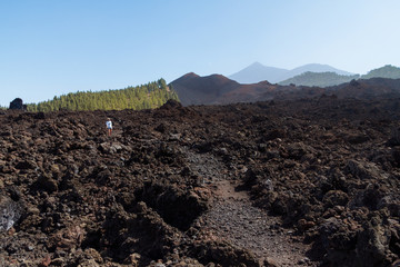 Girl walking in dark volcanic landscape with green trees