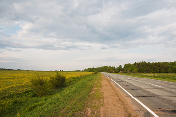 Old road among the trees and grass in the summer