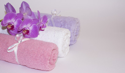 Beautiful Orchid on colored rolled towels on white background closeup