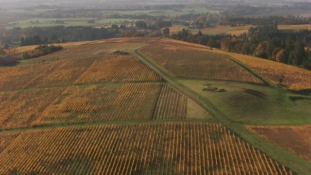 Aerial shot of Oregon's Willamette Valley Wine Country.  Shot with Cineflex and RED Epic-W Helium. 