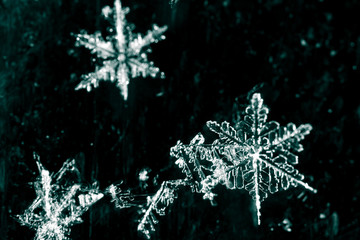Fototapeta na wymiar White snowflake on a black background