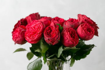 Red roses in vase on wooden table. garden peony Red Piano