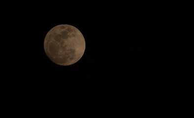 Full Moon or Super moon.