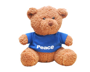 Brown teddy bear wear blue shirt isolated with white background