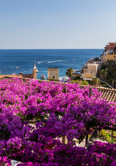 Positano framed by pink bougainvillea and boats in the background. Italy