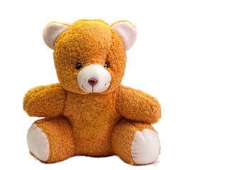 toy teddy bear.