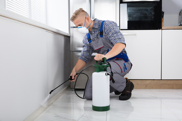 Worker Spraying Pesticide On Wall