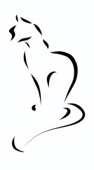  Illustration character of lovely cat drawing freehand ink brush on white paper background