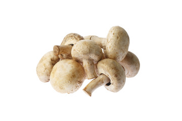 champignon, Mushrooms isolated on white background.