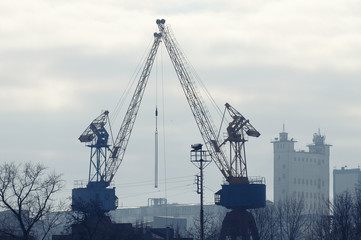 Many portal crane.