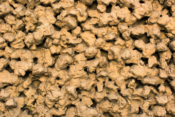 Fototapeta premium Surface of the textured concrete golden wall