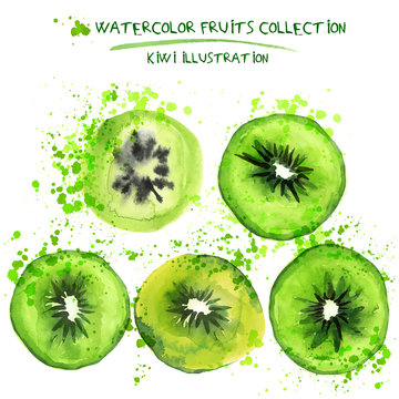 Set of watercolor qiwi vector illustration. Splashed hand draw qiwi isolated on white background, art vector qiwi objects. Qiwies element with watercolor splash