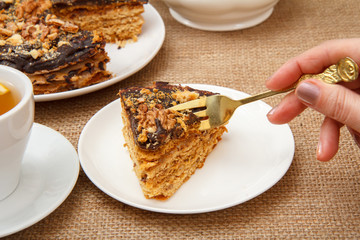 Female hand holding a fork and going to taste homemade chocolate cake