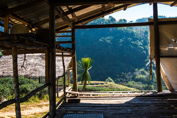 Shed at Tea Plantation 2000
