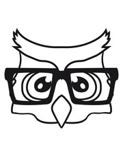 kopf gesicht lesen buch schlau hornbrille nerd geek süß niedlich klein baby kind lustig cool eule kauz uhu vogel nacht fliegen comic cartoon clipart