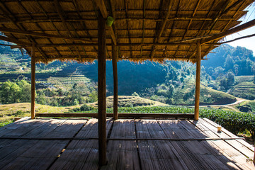 Small rest house with mountain view  at Tea Plantation 2000