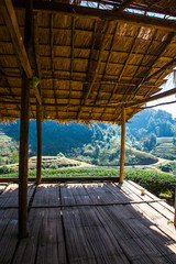 Small rest house with mountain view  at Tea Plantation 2000