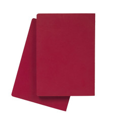 blue international passport isolated on white background