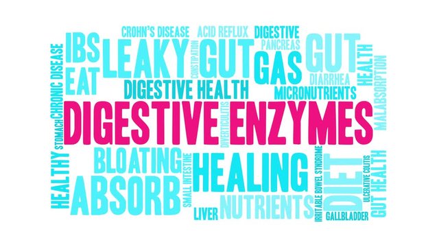 Digestive Enzymes animated word cloud on a white background. 
