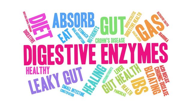 Digestive Enzymes animated word cloud on a white background.