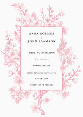 Sakura. Wedding invitation. Pink cherry blossom branch. Vector botanical illustration.