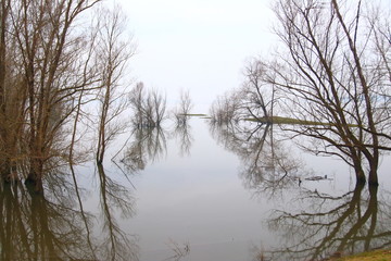 Fototapeta na wymiar Flood in nature