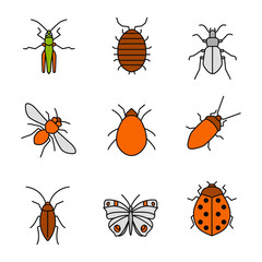 Insects color icons set