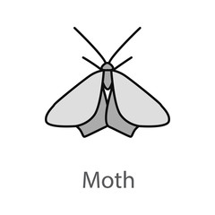 Moth color icon