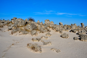 Pobiti Kamani, The Stone Forest Natural Reserve in Bulgaria
