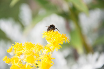 Peak district England