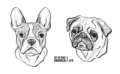 Set of portraits of dogs. Breeds French Bulldog and Pug. Graphical vector illustration - 187857235