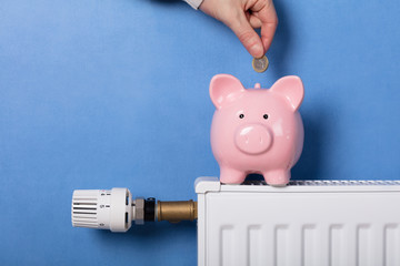 Person Inserting Coin In Piggy Bank