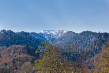 Autumn landscape of the Caucasus mountains. Snow on the mountain. The primeval forest and snow-capped mountains