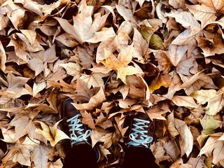 man with a leaves