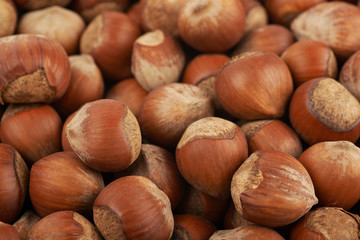 Surface coated with hazelnuts