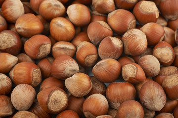 Surface coated with hazelnuts