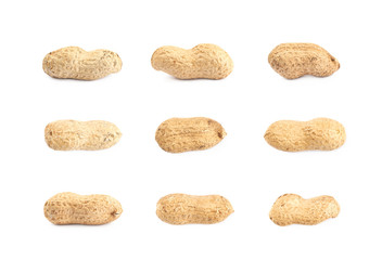 Single peanut in a shell isolated