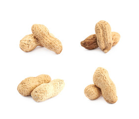 Couple of peanuts isolated