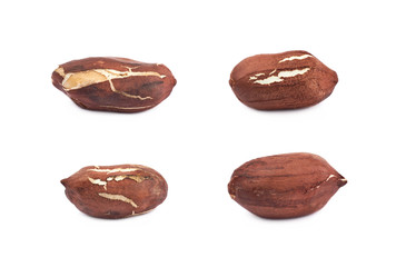 Single peanut in a shell isolated