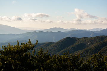 Fototapeta premium Photo of vegetation in hills