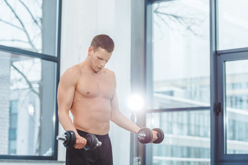 Obraz premium muscular shirtless sportsman exercising with dumbbells in gym