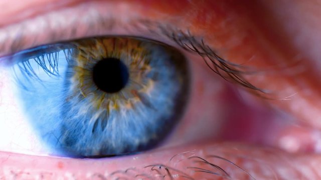 Extreme close up human eye iris
